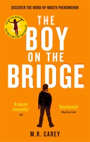 The Boy on the Bridge