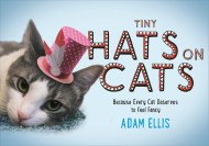 Tiny Hats on Cats