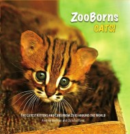 ZooBorns: Cats