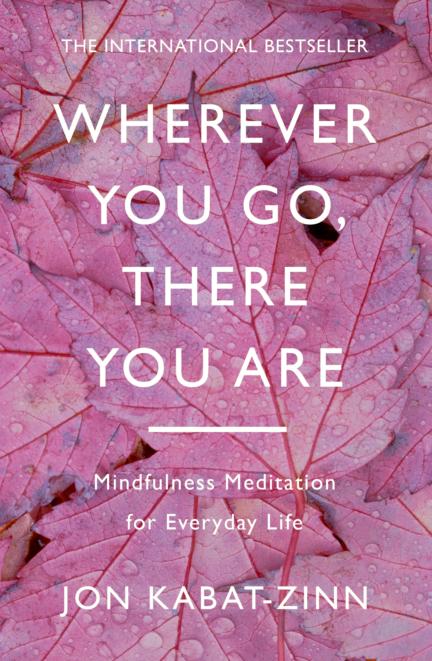 Wherever You Go, There You Are by Jon Kabat-Zinn | Hachette UK