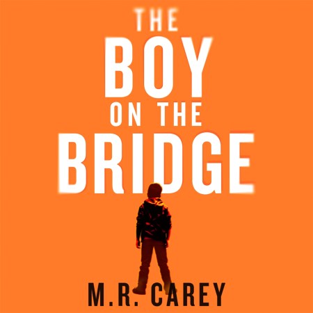 The Boy on the Bridge