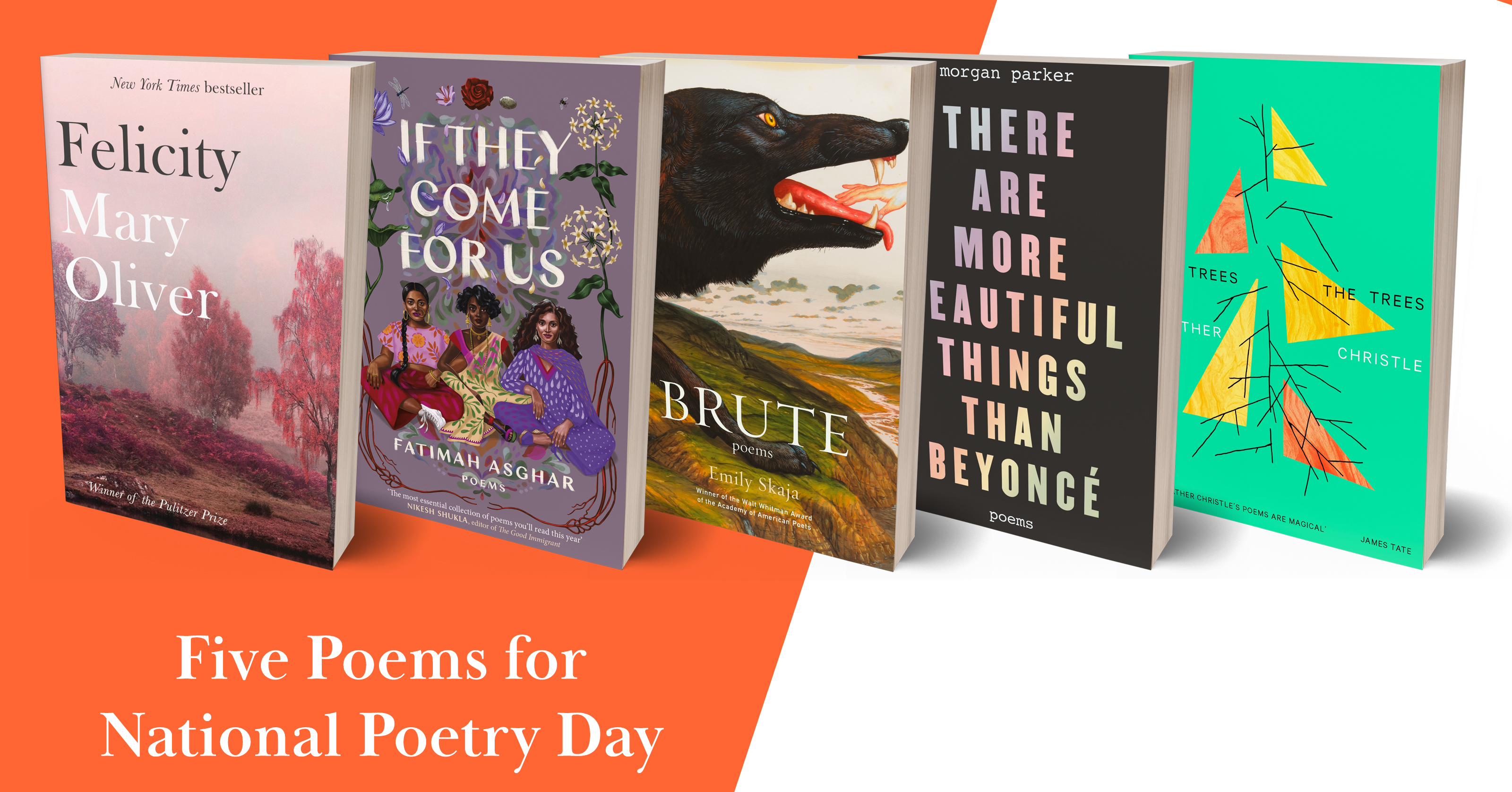 5 Poems for National Poetry Day Hachette UK